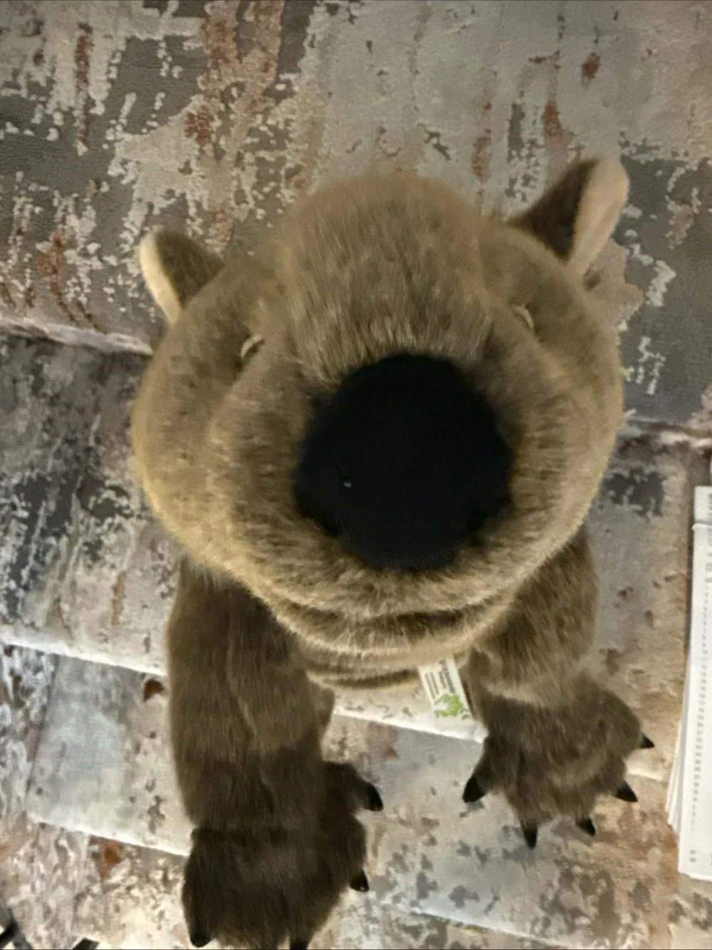 Plush Brown Wombat Pet Toy - Soft Small Animal Plush